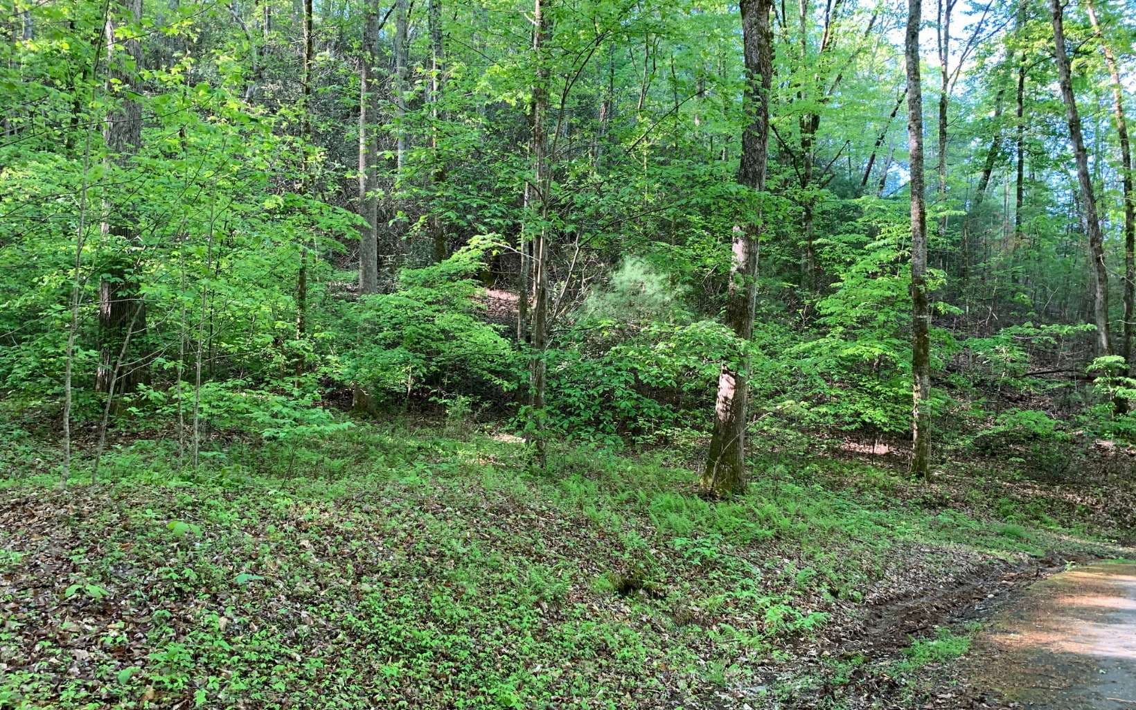 Lot 44 Fires Creek Cove Road, Hayesville NC 28904 - Photo