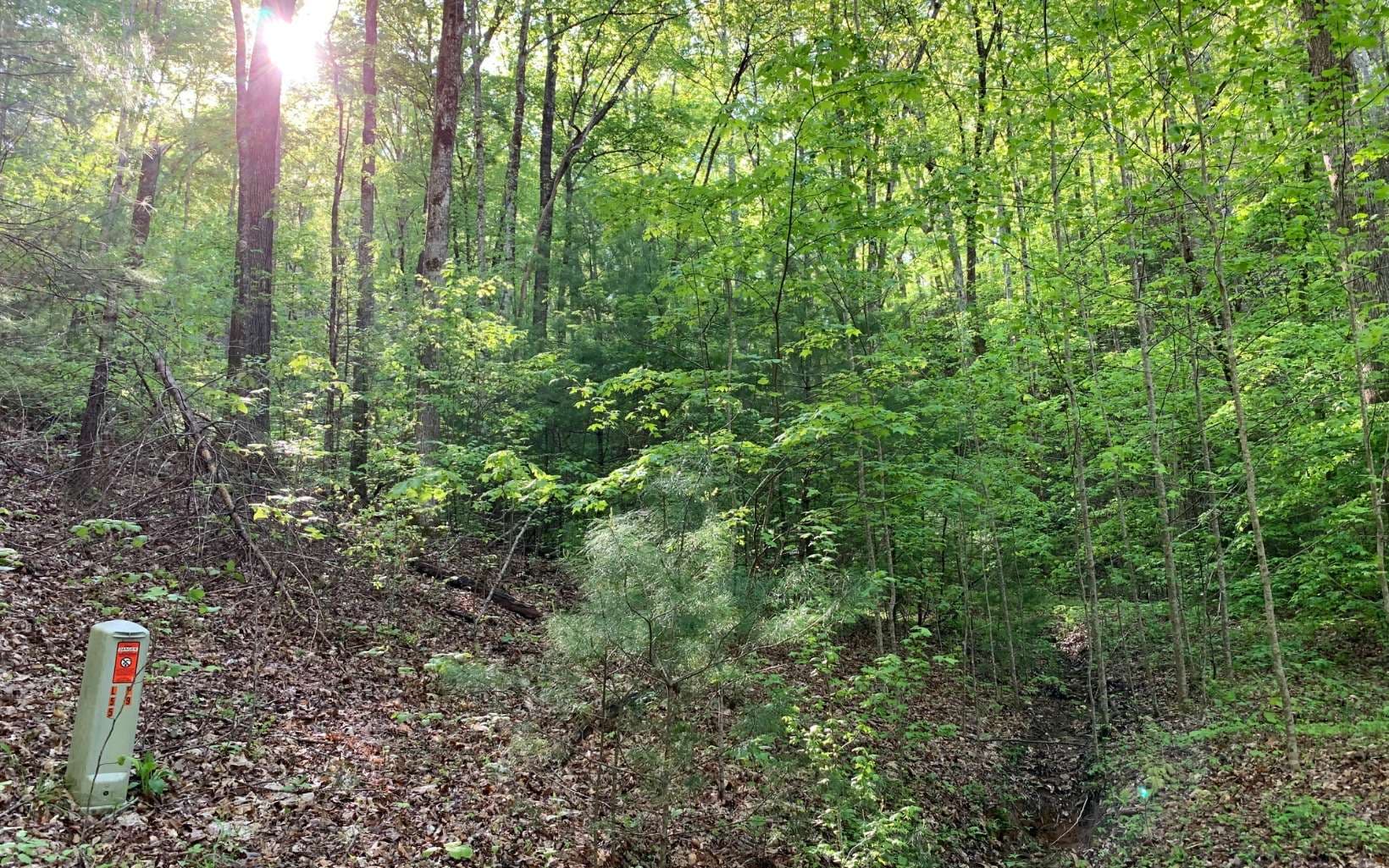 Lot 44 Fires Creek Cove Road, Hayesville NC 28904 - Photo