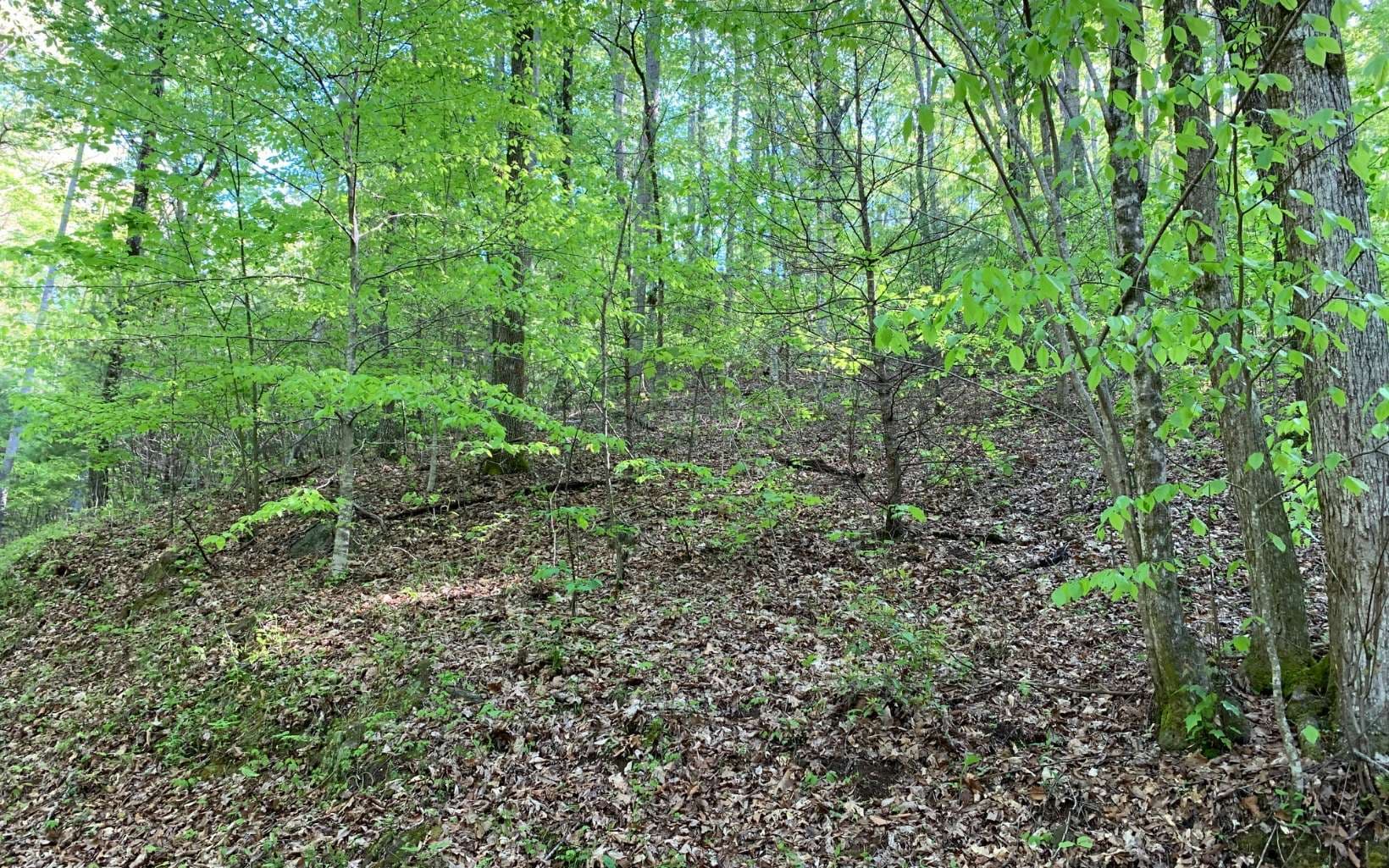 Lot 44 Fires Creek Cove Road, Hayesville NC 28904 - Photo
