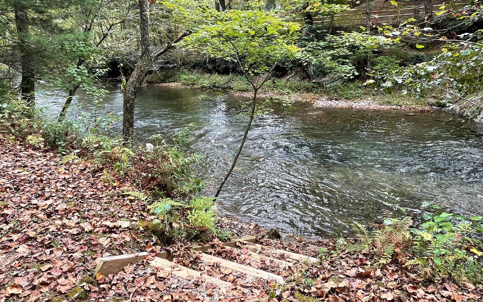 Lot 44 Fires Creek Cove Road, Hayesville NC 28904 - Photo