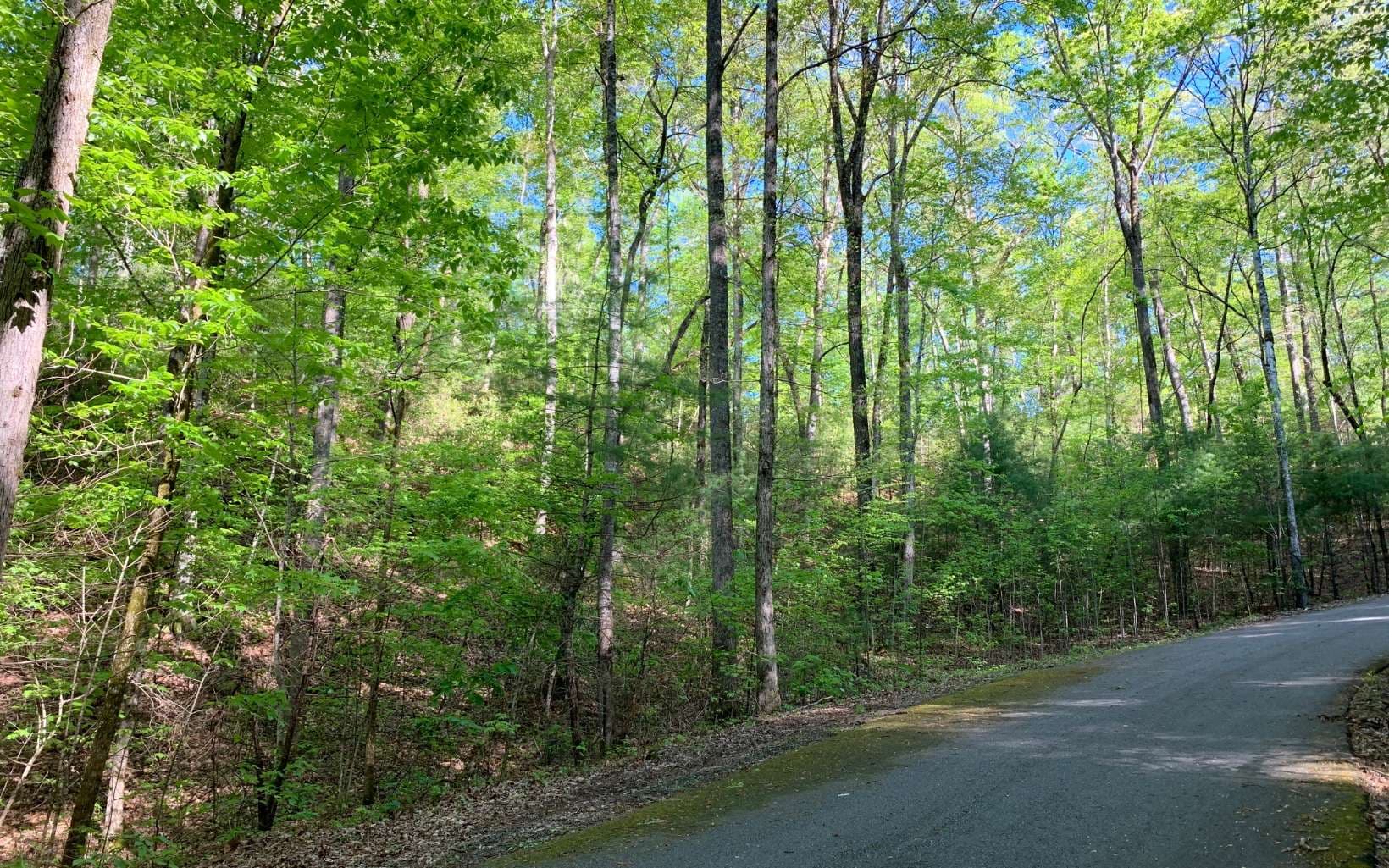 Lot 44 Fires Creek Cove Road, Hayesville NC 28904 - Photo