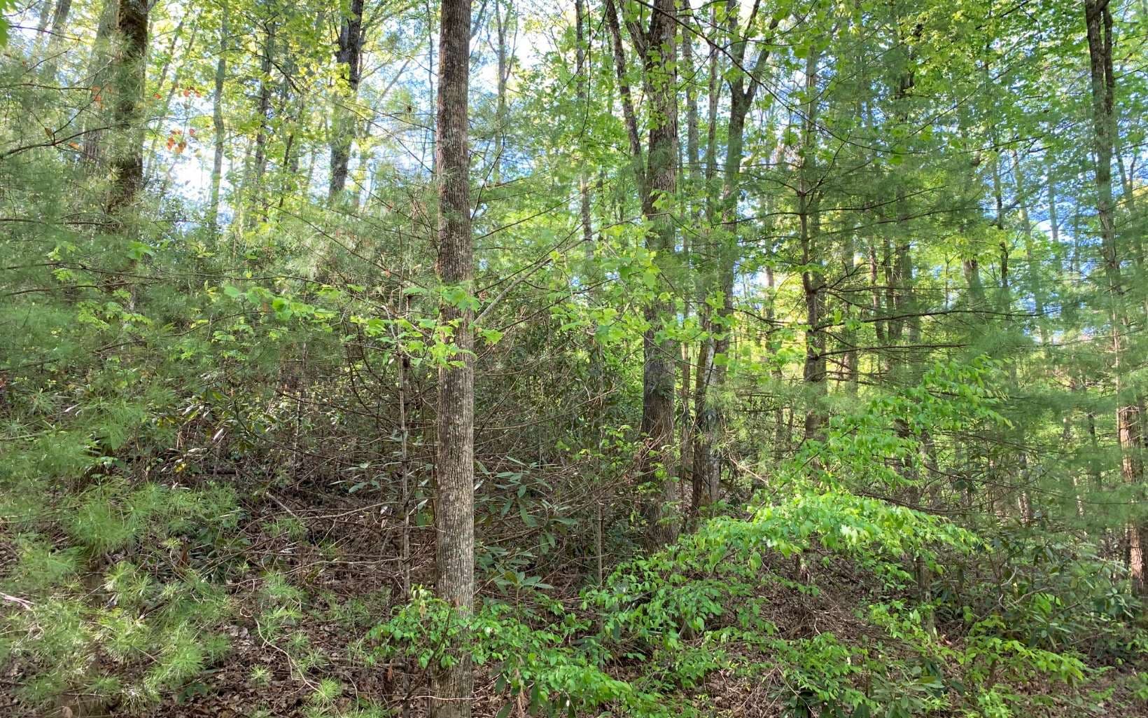 Lot 44 Fires Creek Cove Road, Hayesville NC 28904 - Photo