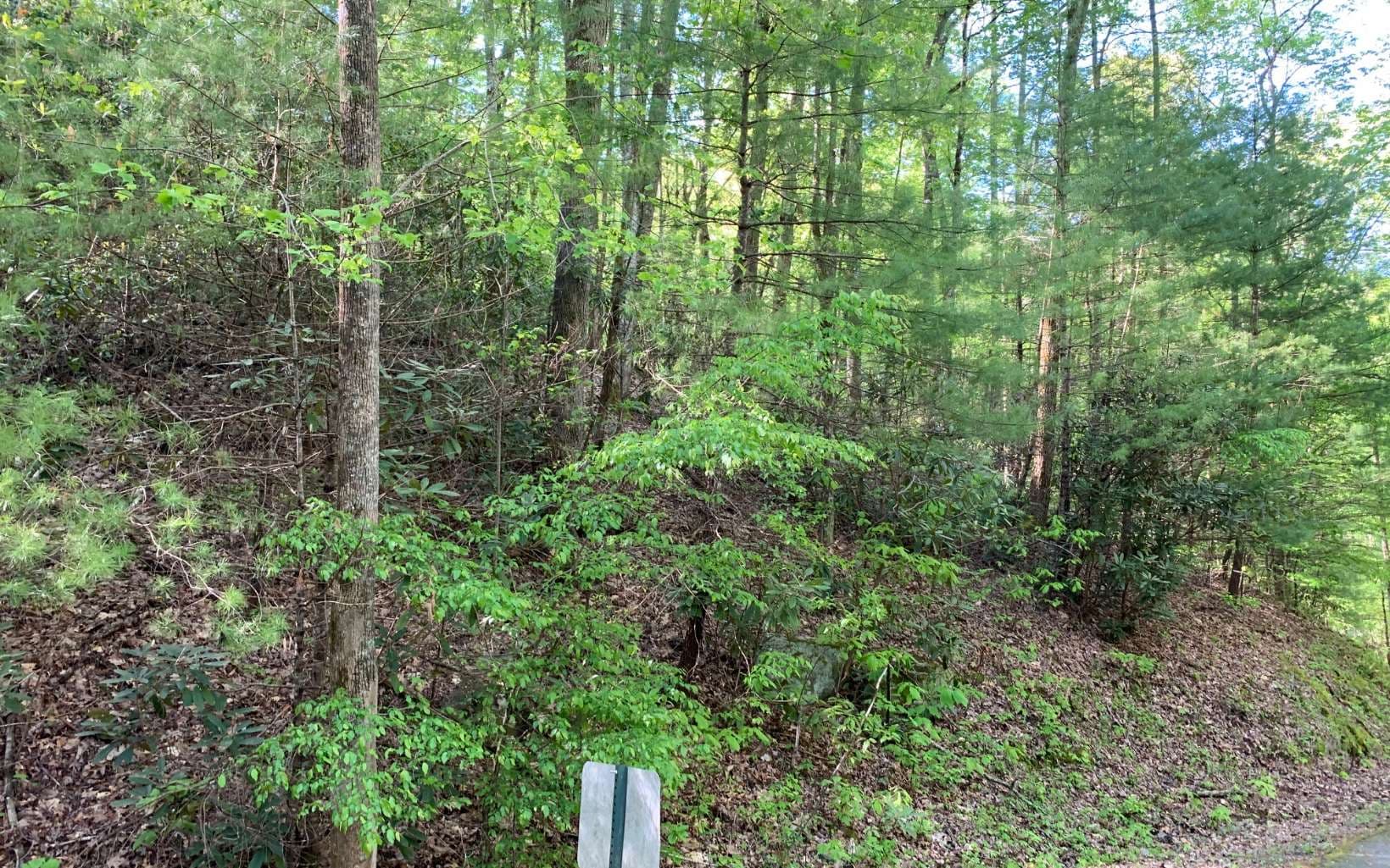 Lot 44 Fires Creek Cove Road, Hayesville NC 28904 - Photo