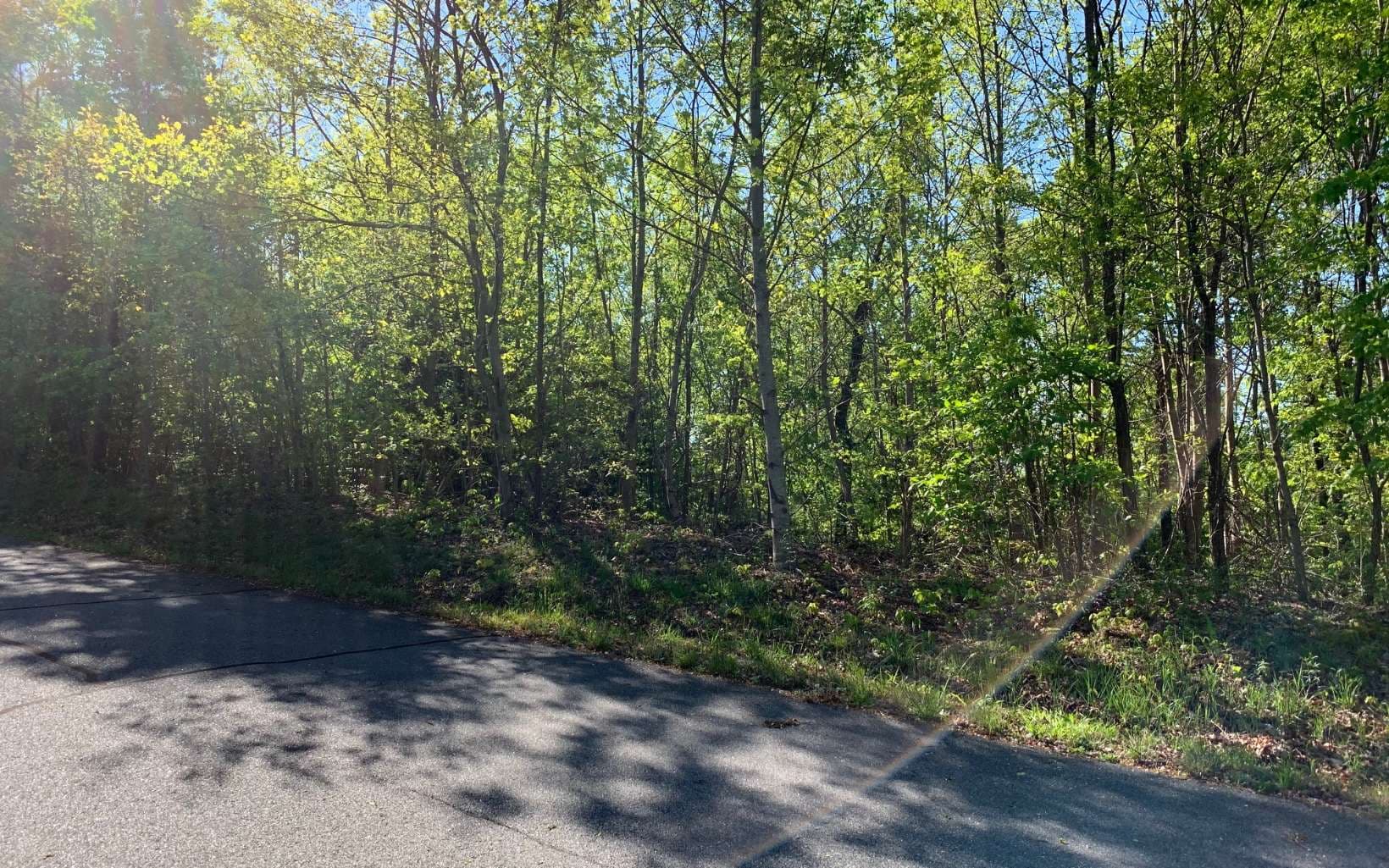 Lot 57 Fires Creek Cove Road, Hayesville NC 28904 - Photo