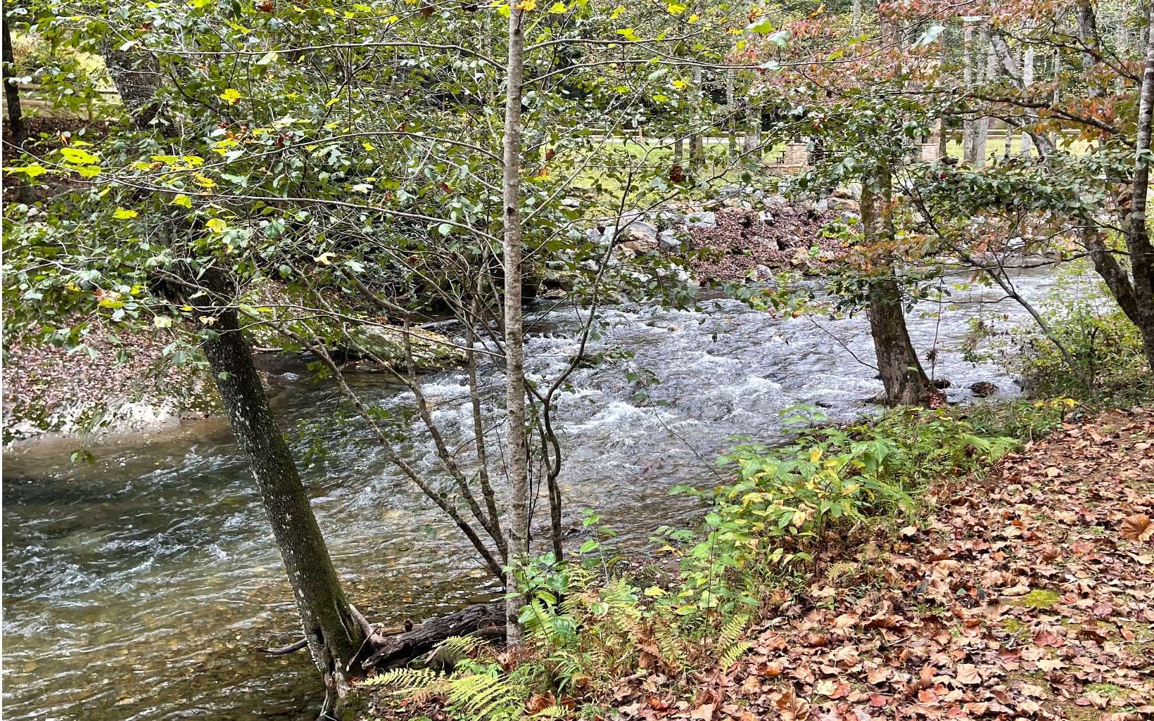 Lot 57 Fires Creek Cove Road, Hayesville NC 28904 - Photo
