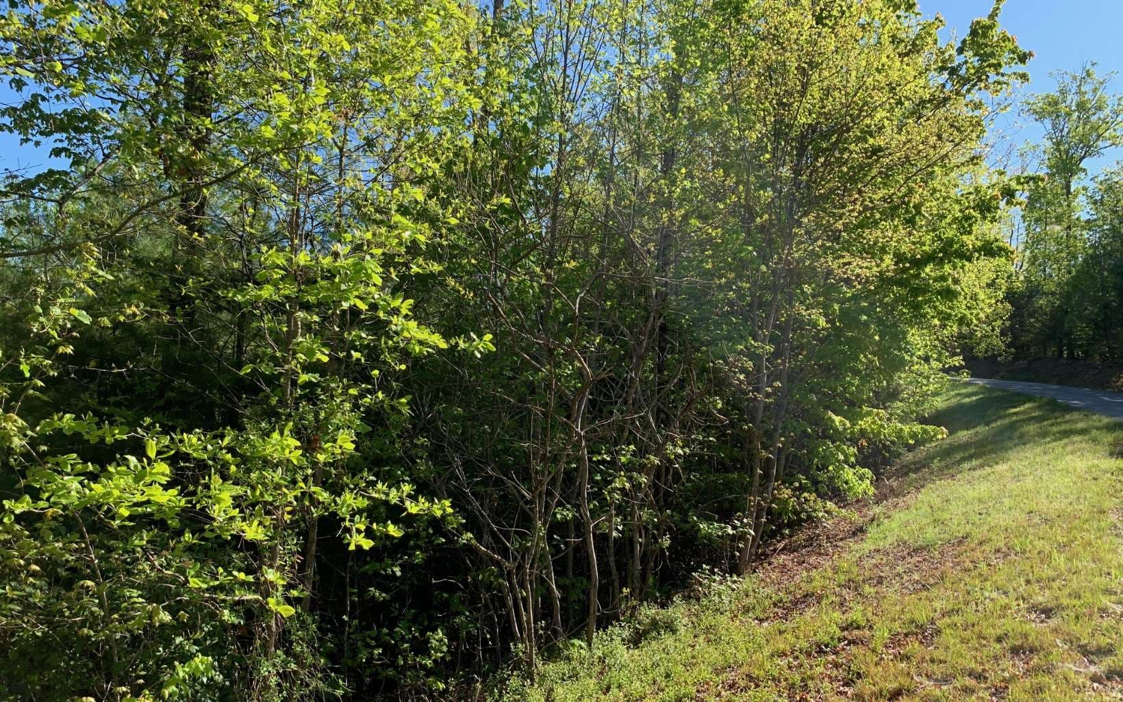 Lot 57 Fires Creek Cove Road, Hayesville NC 28904 - Photo