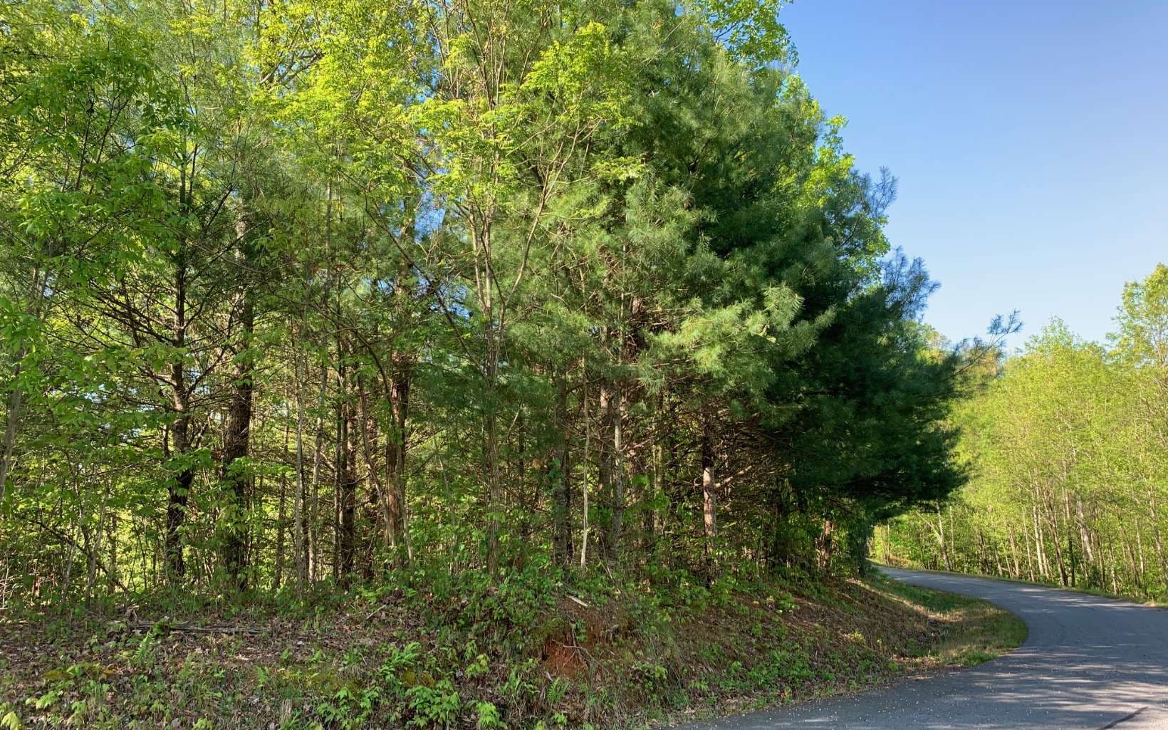 Lot 57 Fires Creek Cove Road, Hayesville NC 28904 - Photo
