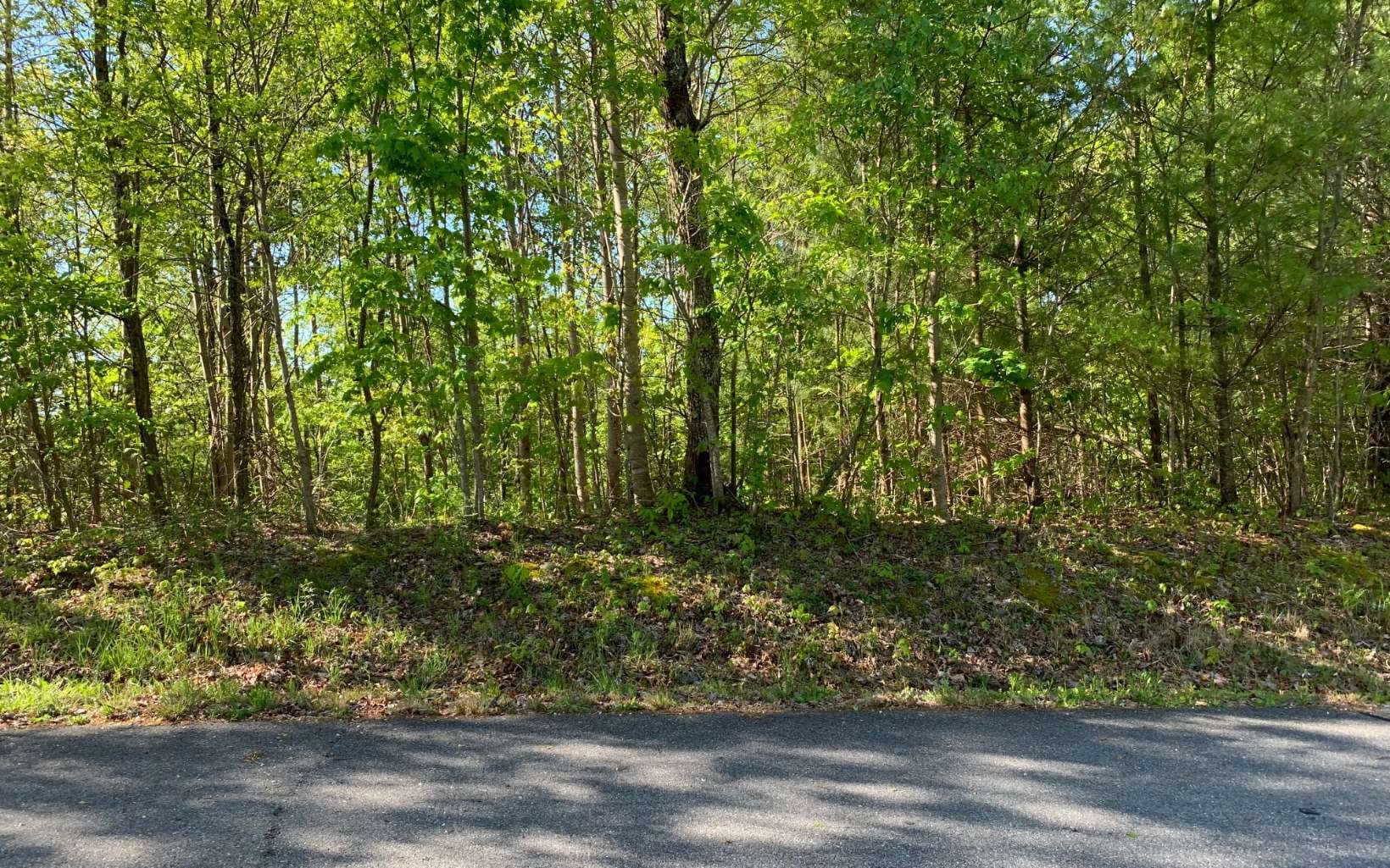 Lot 57 Fires Creek Cove Road, Hayesville NC 28904 - Primary photo