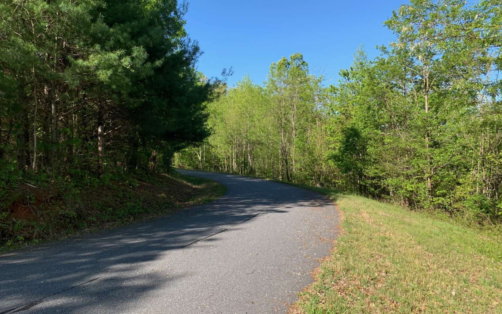 Lot 57 Fires Creek Cove Road, Hayesville NC 28904 - Photo