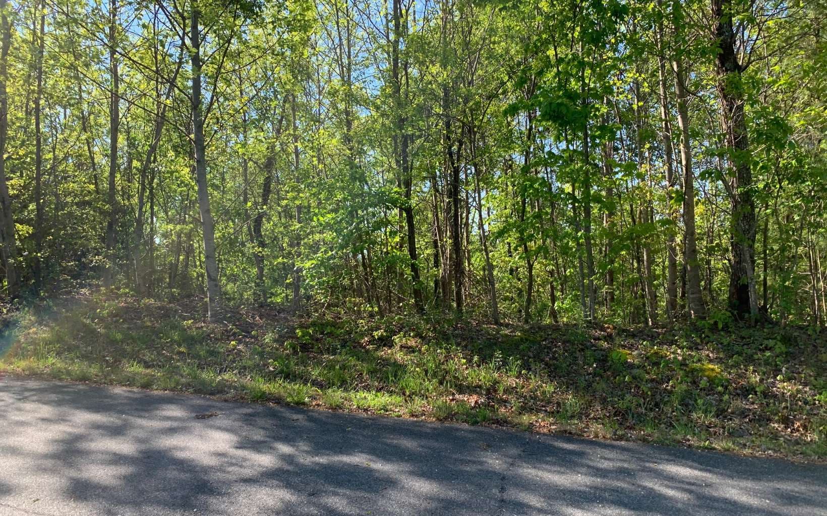 Lot 57 Fires Creek Cove Road, Hayesville NC 28904 - Photo