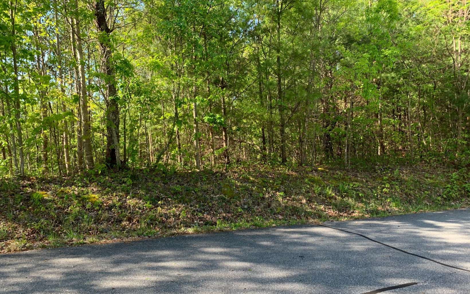 Lot 57 Fires Creek Cove Road, Hayesville NC 28904 - Photo