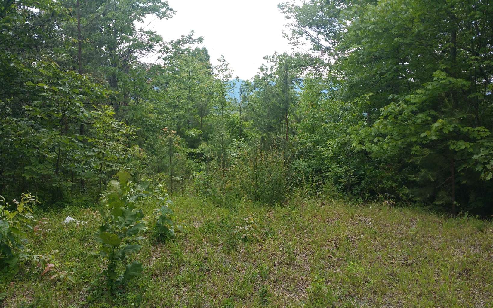 LOT 7 Mill Creek Estates, Hayesville NC 28904 - Photo