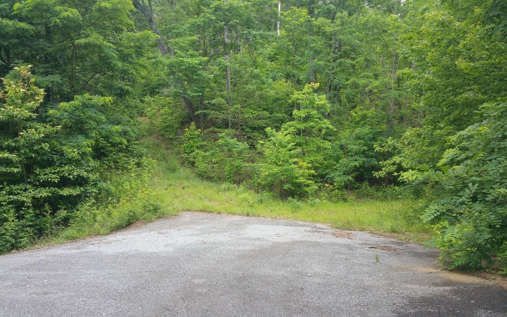 LOT 7 Mill Creek Estates, Hayesville NC 28904 - Photo