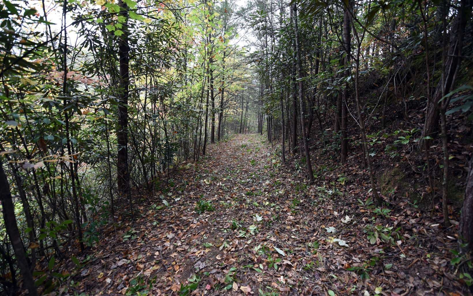 TBD Mclean Road, Andrews NC 28901 - Photo