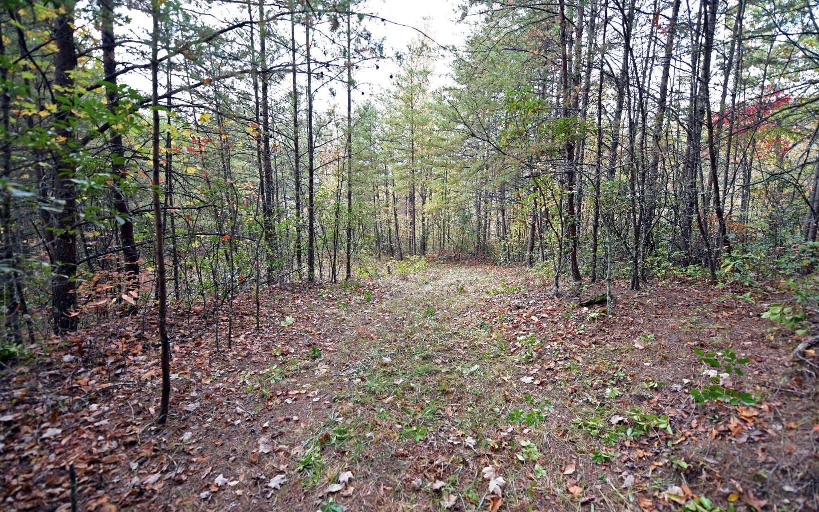 TBD Mclean Road, Andrews NC 28901 - Photo
