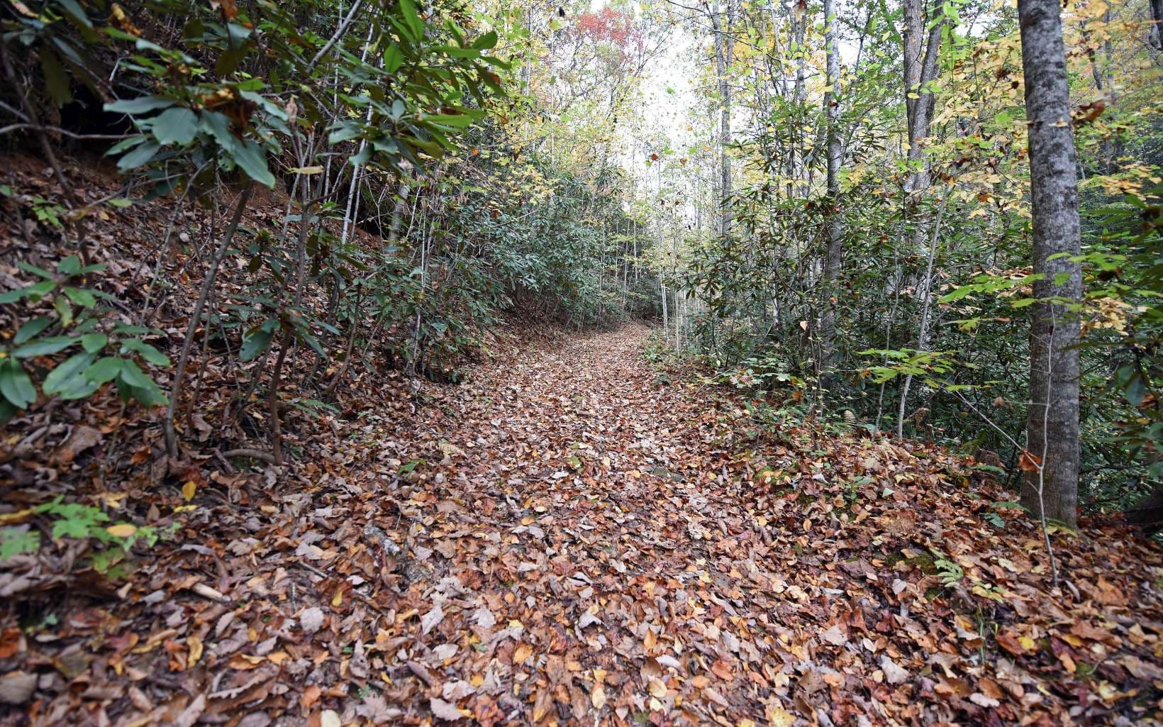 TBD Mclean Road, Andrews NC 28901 - Primary photo