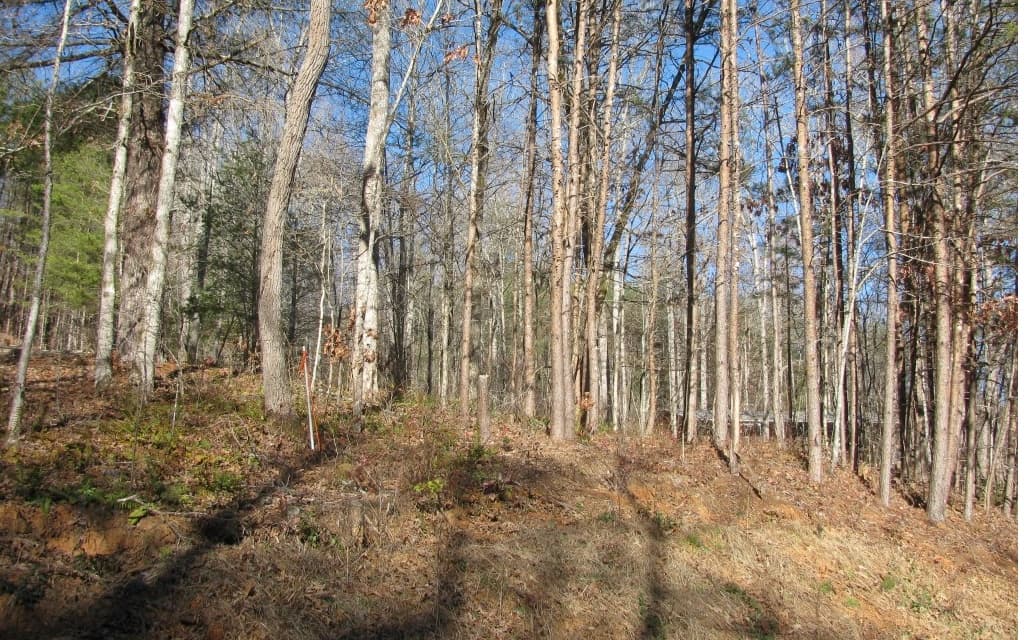 #68 Summerwood Lane, Young Harris GA 30582 - Photo