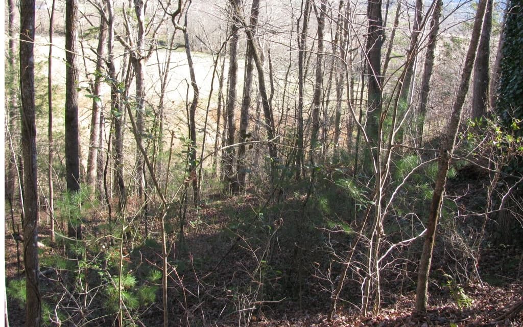 #39 Pinecrest Road, Young Harris GA 30582 - Photo
