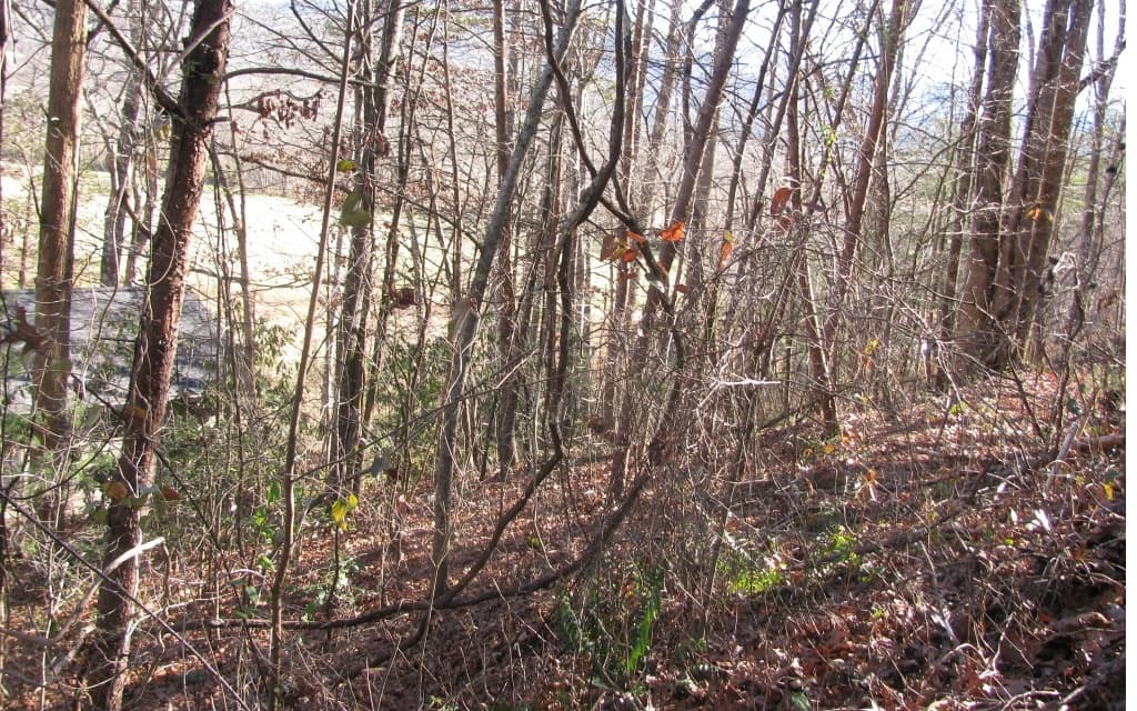 #39 Pinecrest Road, Young Harris GA 30582 - Photo