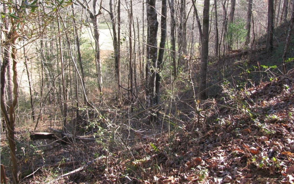 #39 Pinecrest Road, Young Harris GA 30582 - Photo