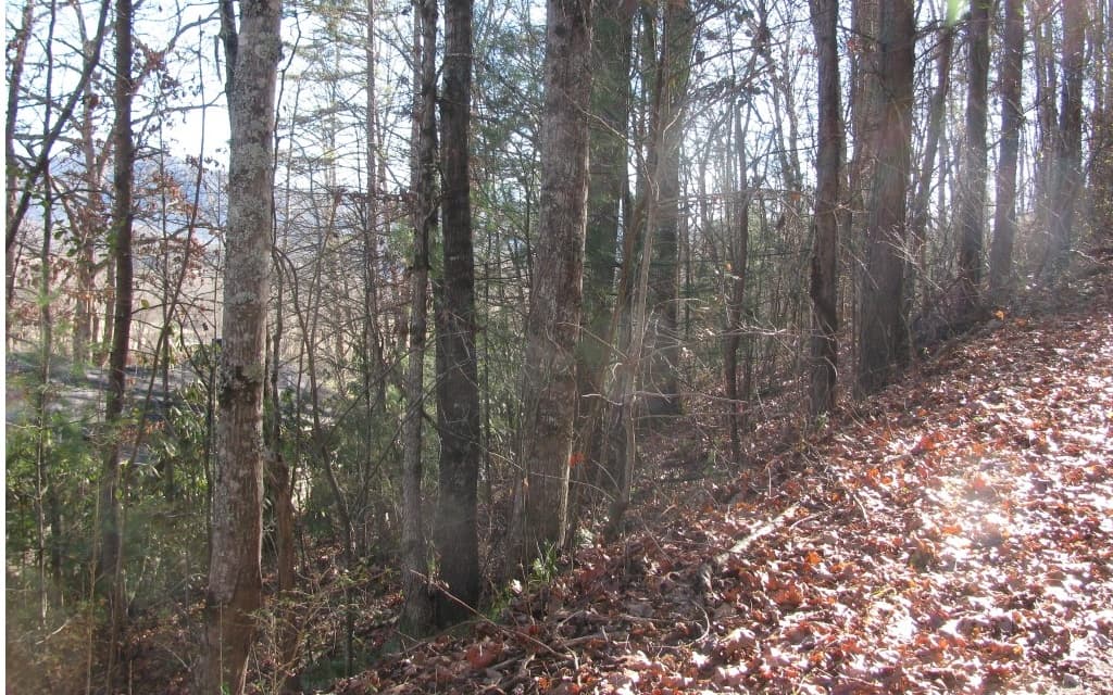 #39 Pinecrest Road, Young Harris GA 30582 - Photo
