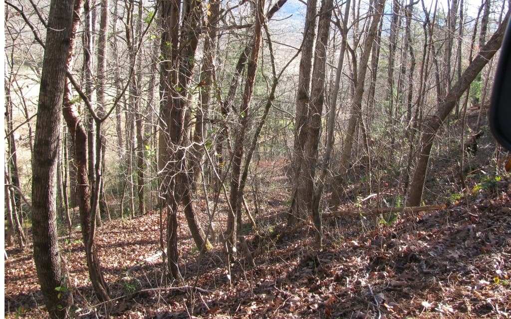 #39 Pinecrest Road, Young Harris GA 30582 - Photo