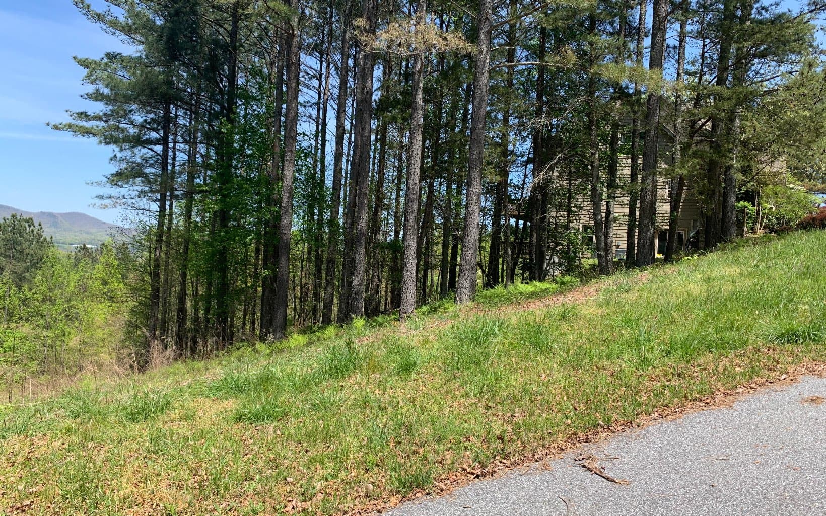 Lot 28 Loftis Mountain, Blairsville GA 30512 - Photo
