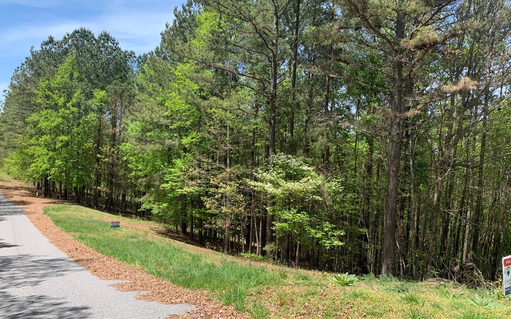 Lot 28 Loftis Mountain, Blairsville GA 30512 - Photo