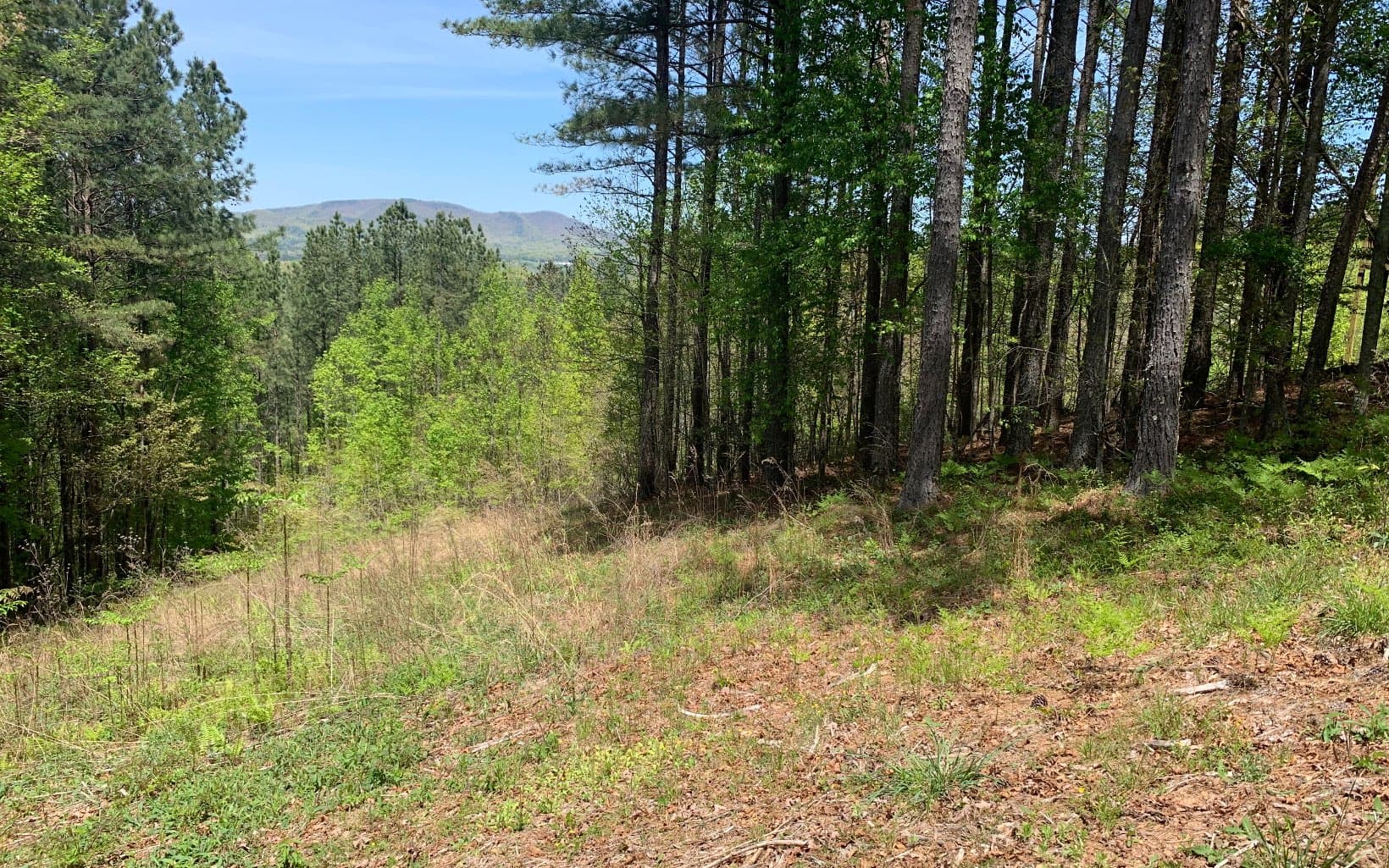 Lot 28 Loftis Mountain, Blairsville GA 30512 - Photo