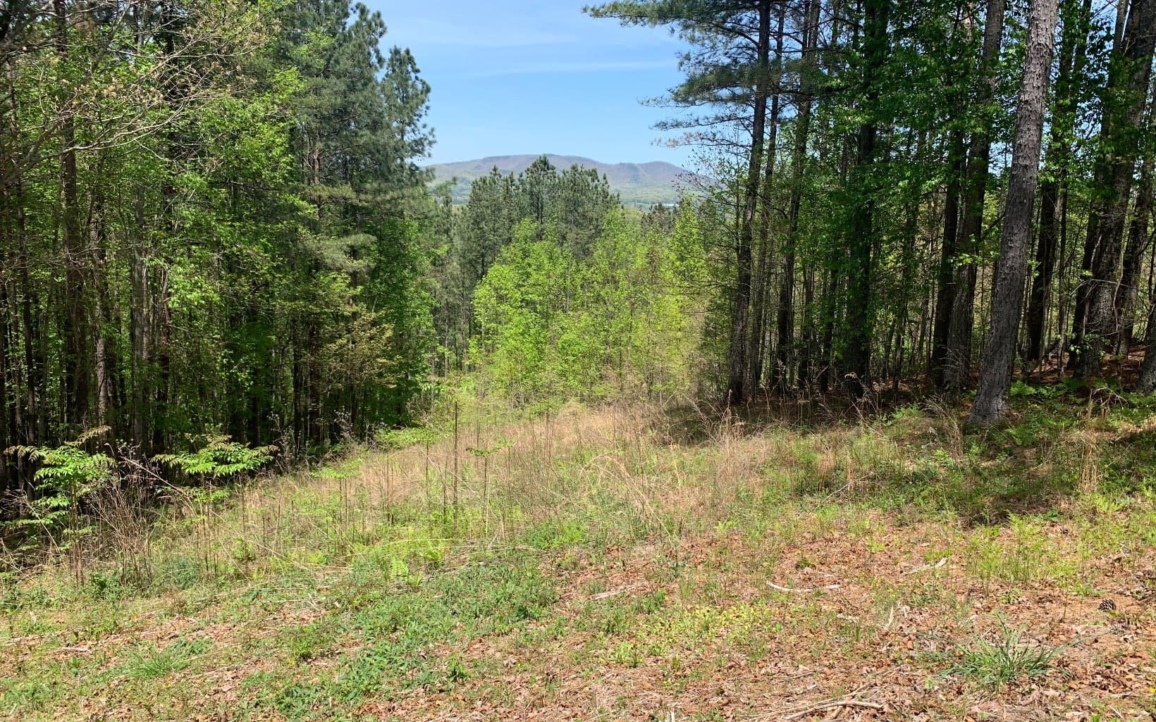 Lot 28 Loftis Mountain, Blairsville GA 30512 - Photo