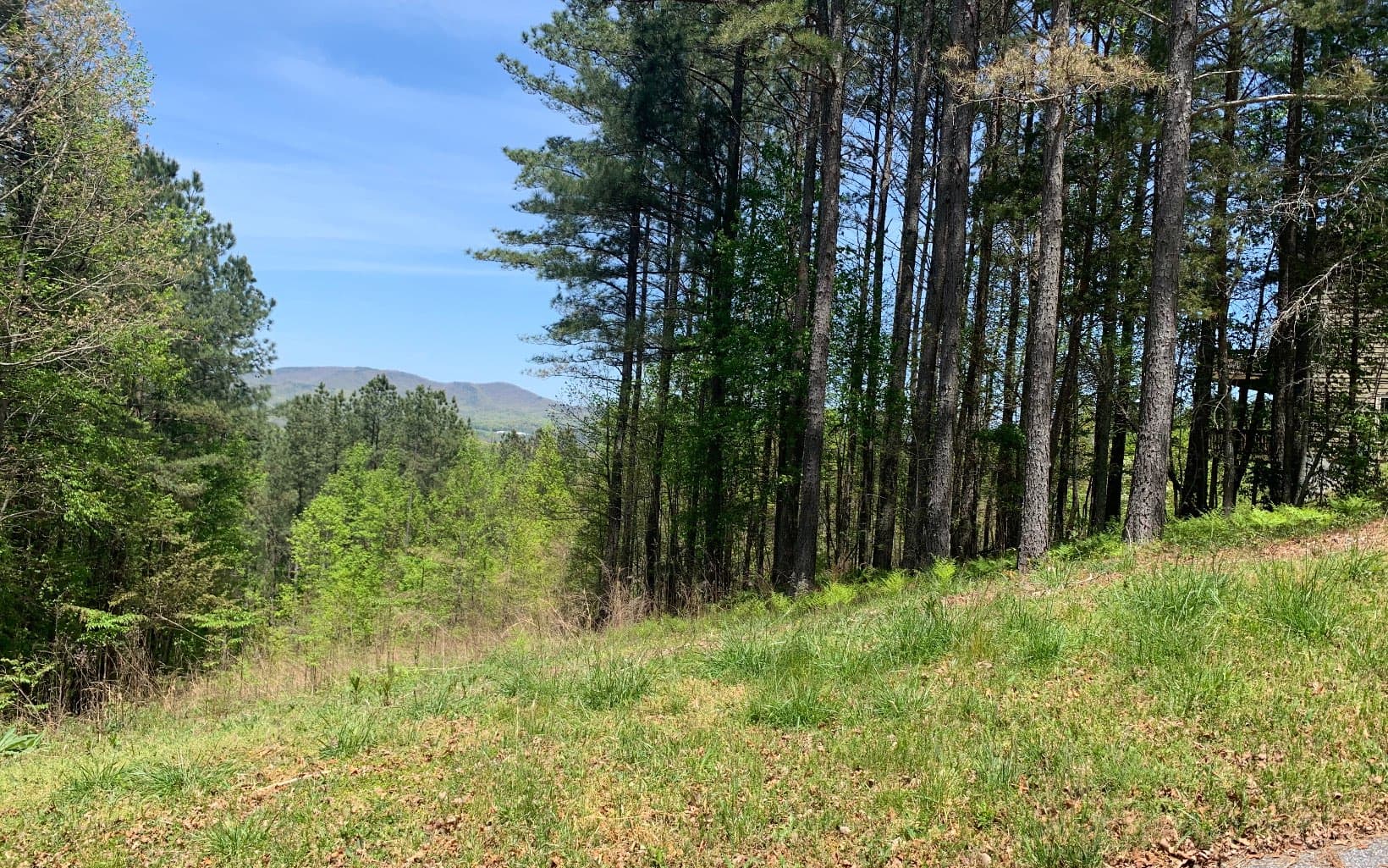 Lot 28 Loftis Mountain, Blairsville GA 30512 - Photo