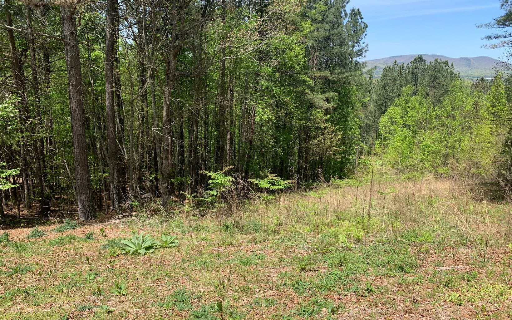 Lot 28 Loftis Mountain, Blairsville GA 30512 - Photo