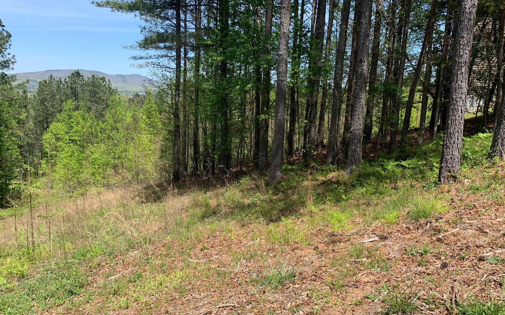Lot 28 Loftis Mountain, Blairsville GA 30512 - Photo