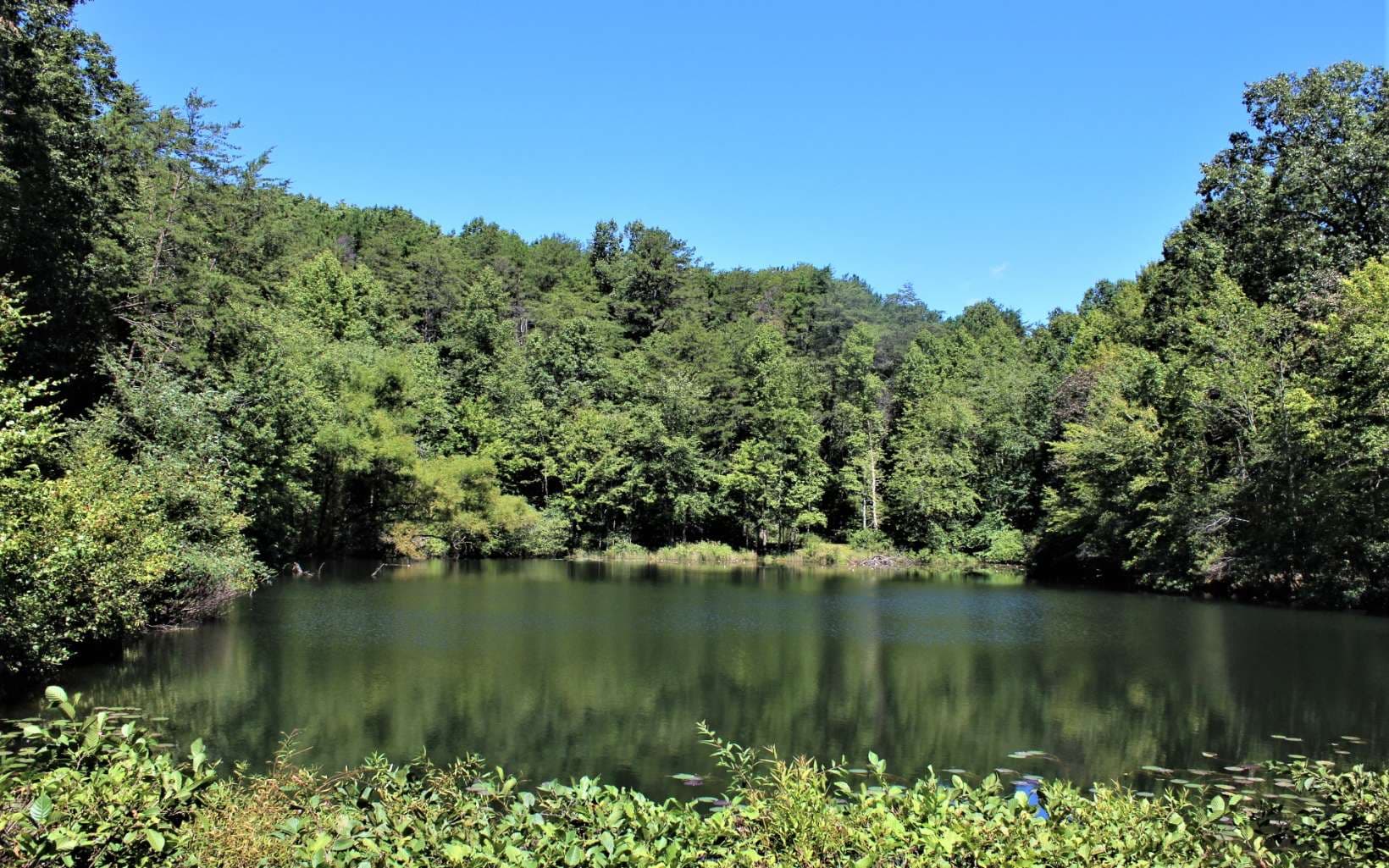B&D W Cherry Road, Hayesville NC 28904 - Photo