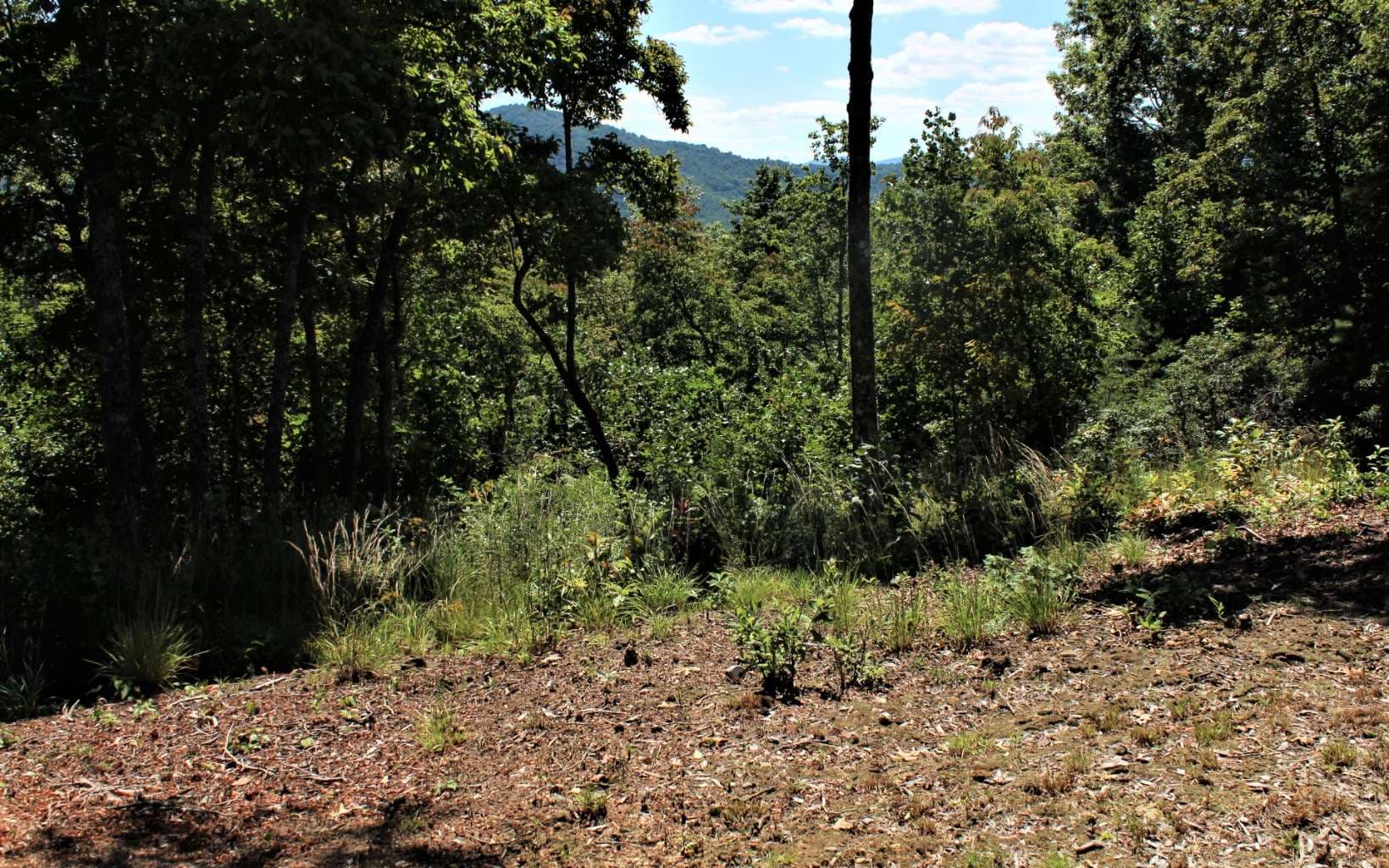 B&D W Cherry Road, Hayesville NC 28904 - Photo