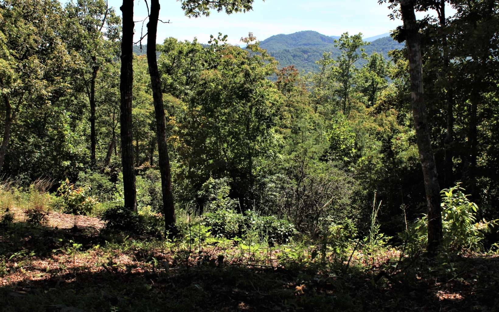 B&D W Cherry Road, Hayesville NC 28904 - Photo