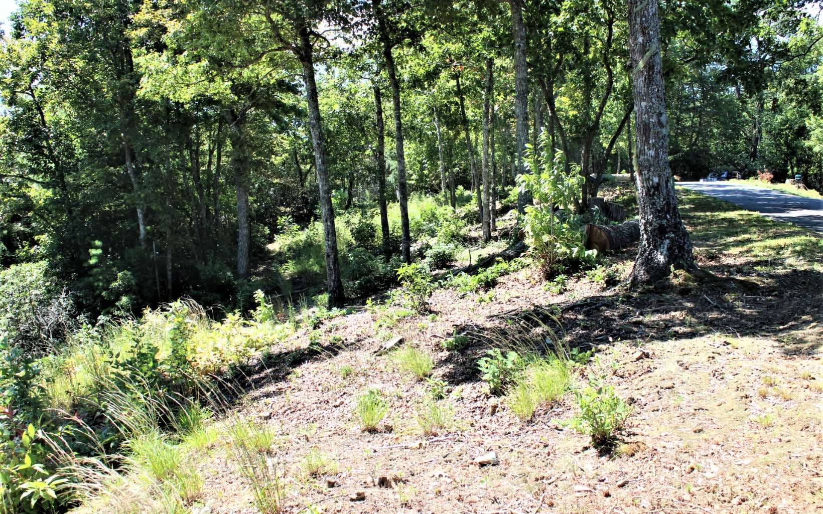 B&D W Cherry Road, Hayesville NC 28904 - Photo