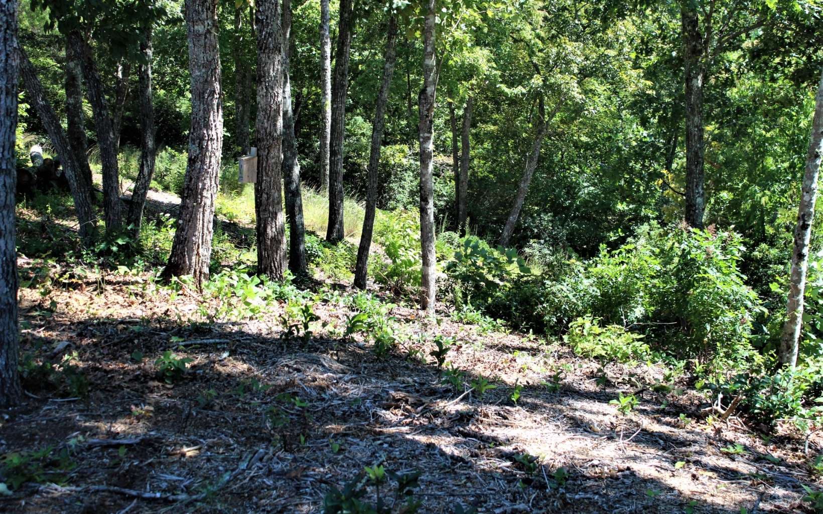 B&D W Cherry Road, Hayesville NC 28904 - Photo