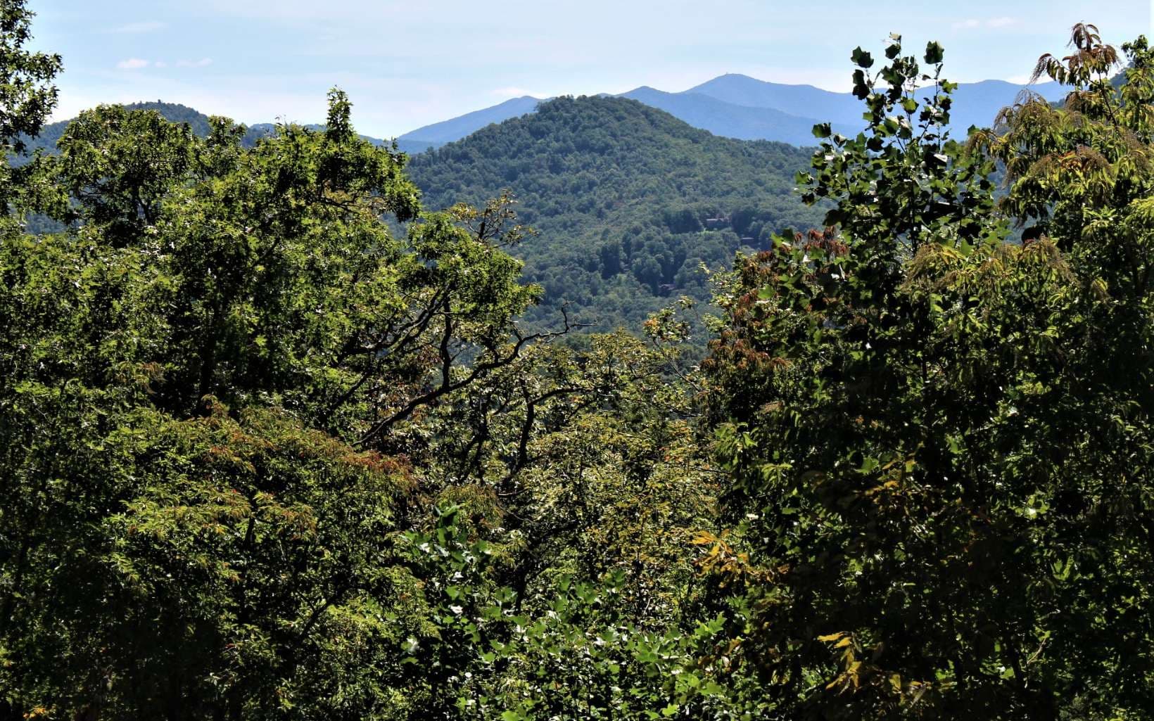B&D W Cherry Road, Hayesville NC 28904 - Primary photo