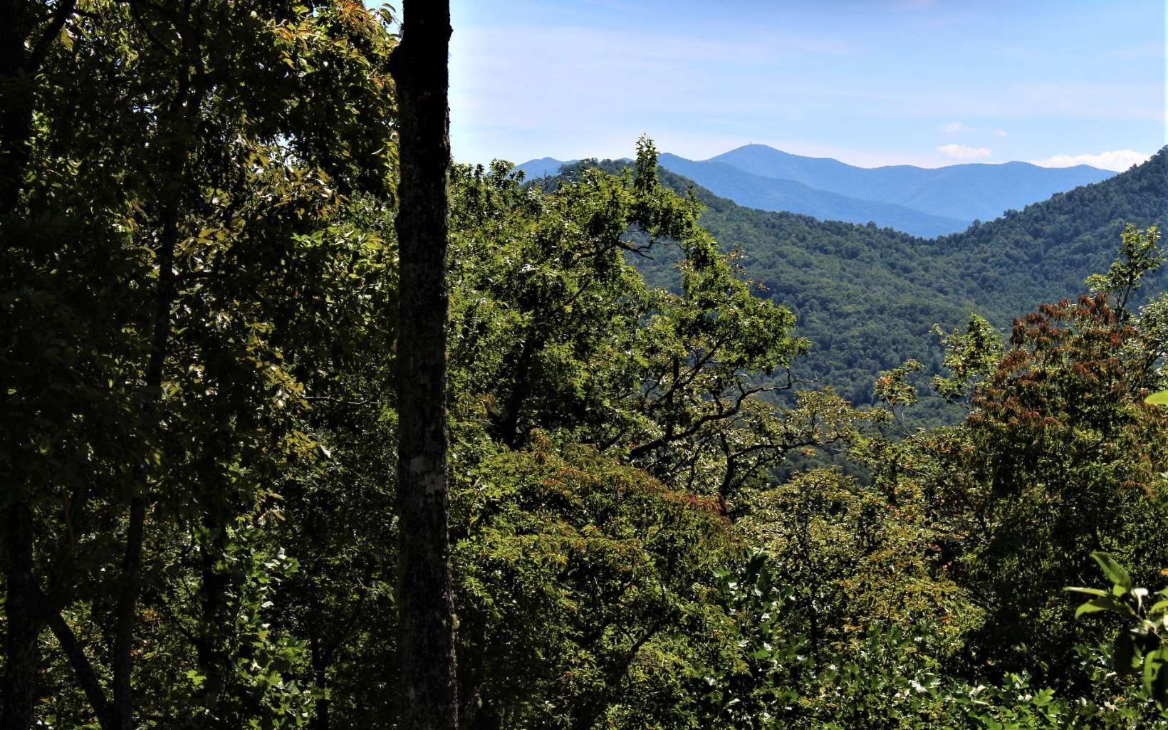 B&D W Cherry Road, Hayesville NC 28904 - Photo