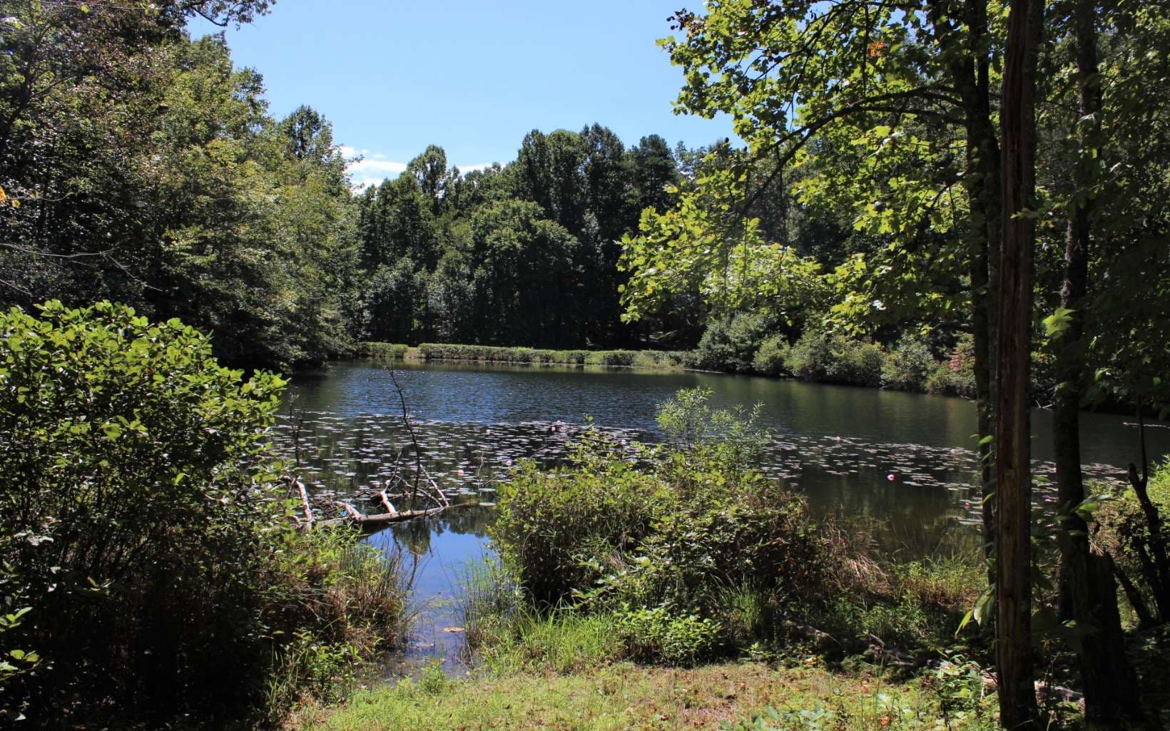 B&D W Cherry Road, Hayesville NC 28904 - Photo