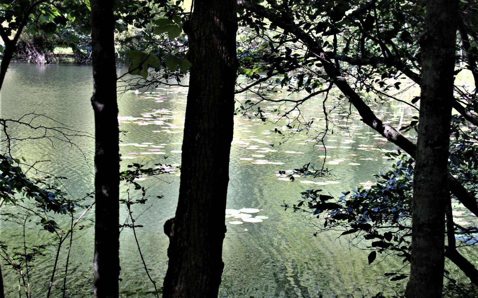 B&D W Cherry Road, Hayesville NC 28904 - Photo