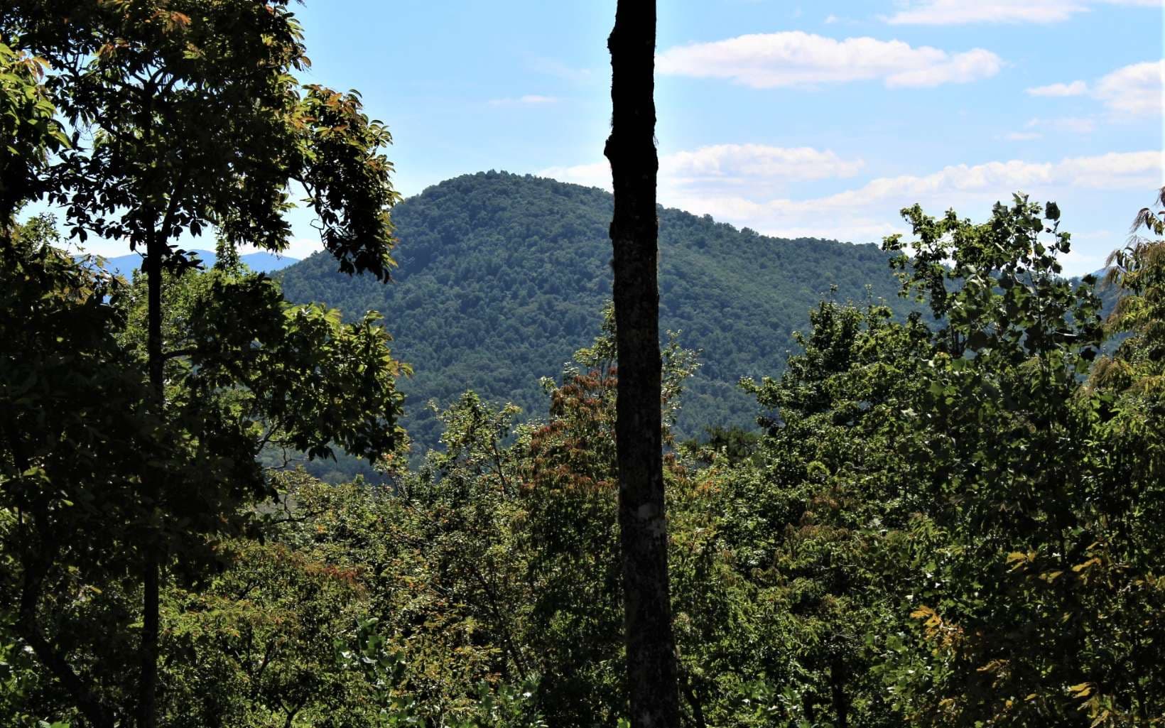 B&D W Cherry Road, Hayesville NC 28904 - Photo