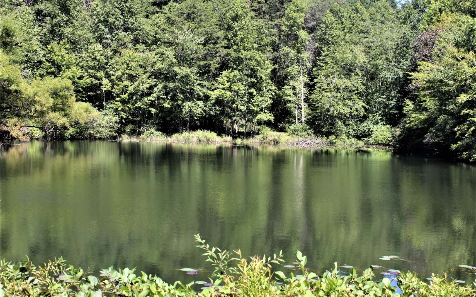 B&D W Cherry Road, Hayesville NC 28904 - Photo