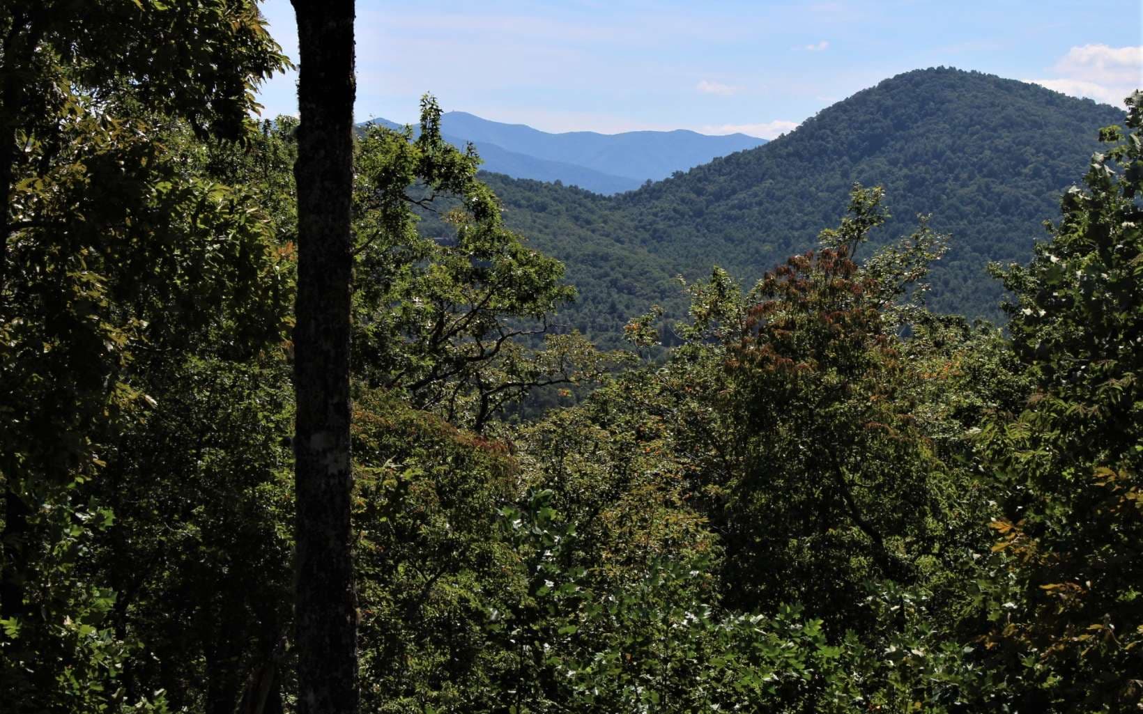 B&D W Cherry Road, Hayesville NC 28904 - Photo