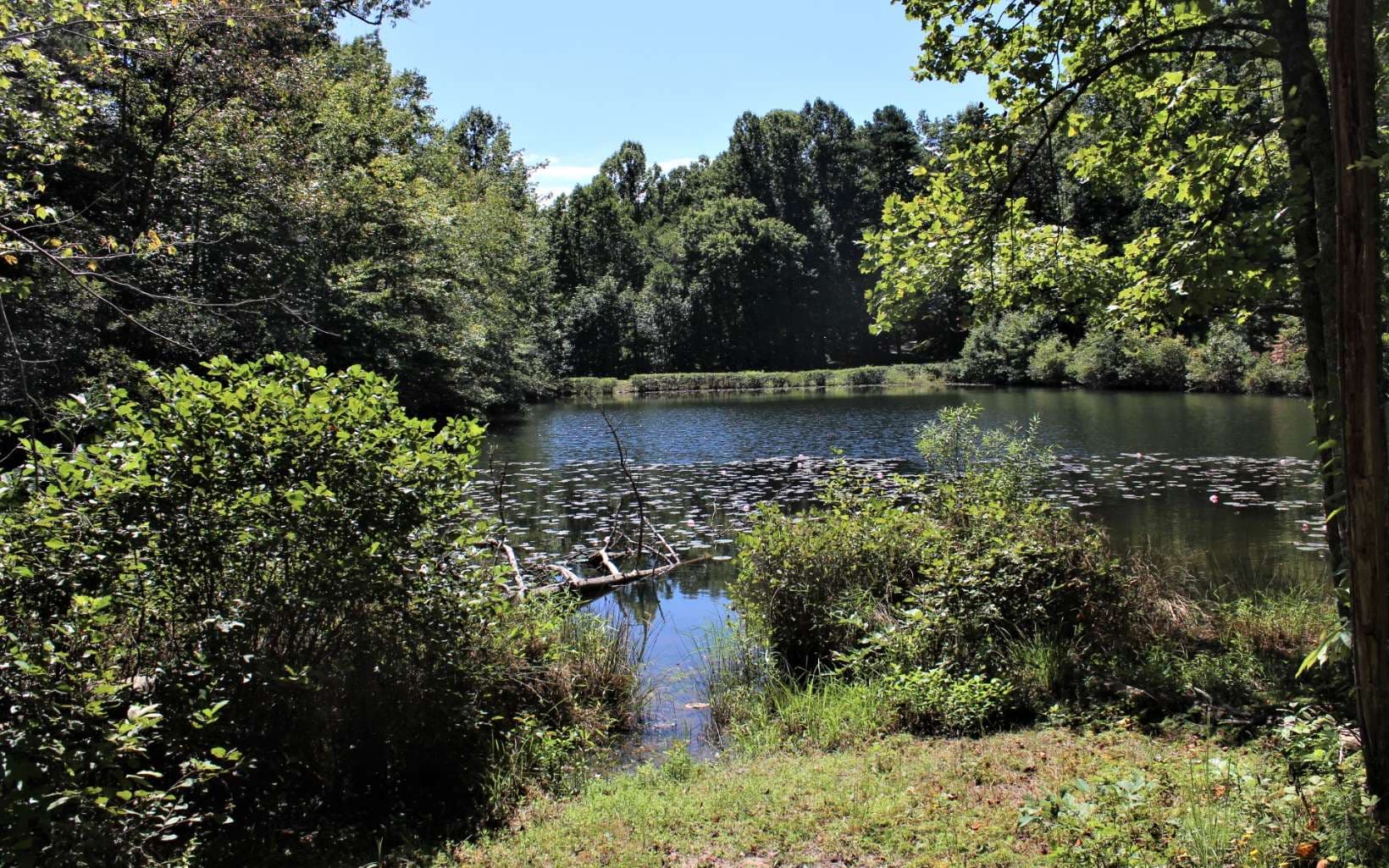 B&D W Cherry Road, Hayesville NC 28904 - Photo