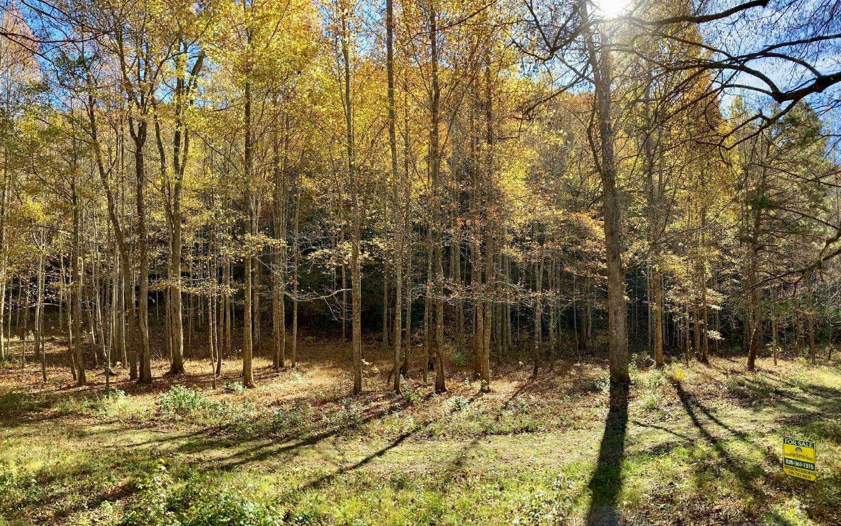 5 Tusquittee Crossing, Hayesville NC 28904 - Photo