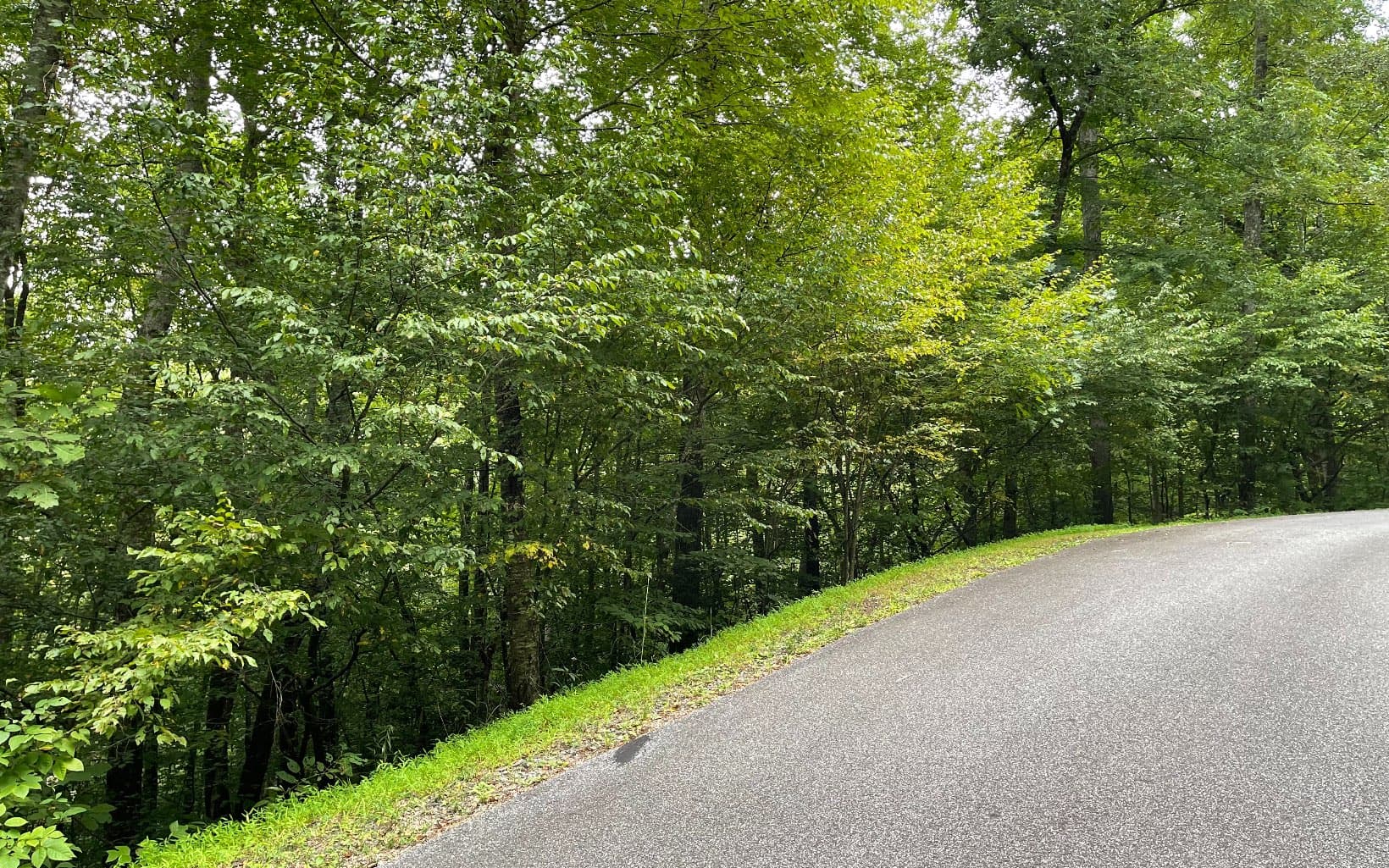 Lot 7 Bear Trail, Hiawassee GA 30546 - Photo