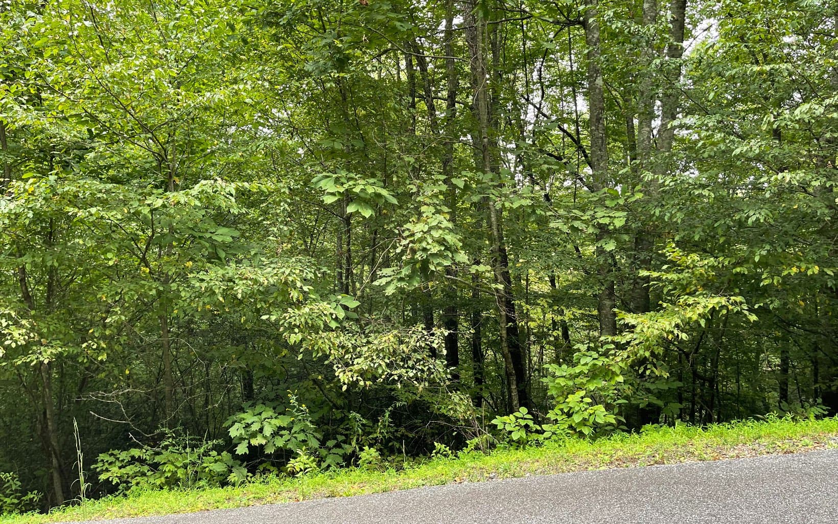Lot 7 Bear Trail, Hiawassee GA 30546 - Photo