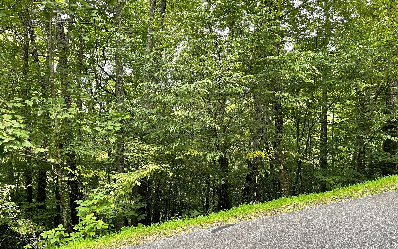 Lot 7 Bear Trail, Hiawassee GA 30546 - Photo
